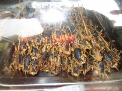 China2007 041 16598871198 O