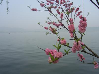 China2007 104 16579171417 O