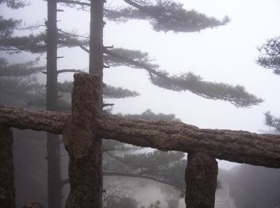 China2007 136 16785353142 O