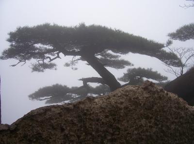 China2007 138 16579171827 O