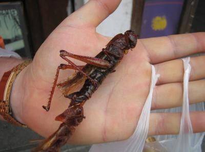 China2007 225 16785315911 O