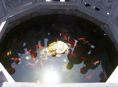 China2007 422 16166517083 O