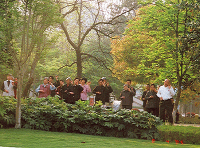 China20s 15836012153 O