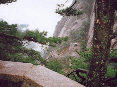 China27s 15833559314 O