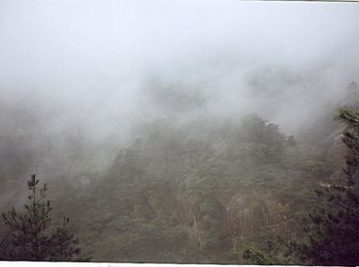 China29s 15836013133 O