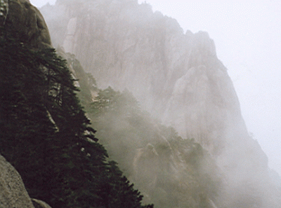 China32s 15836013533 O