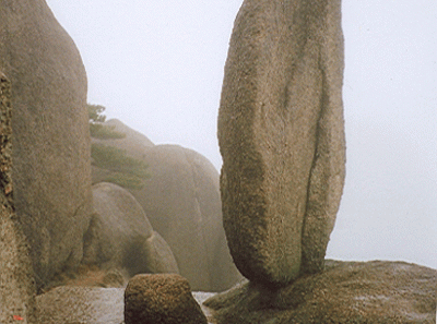 China36s 15833560724 O