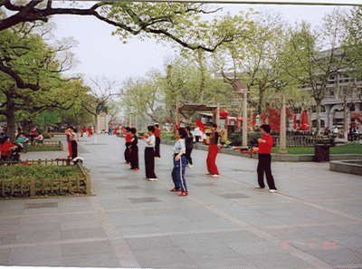 China8s 16268650420 O