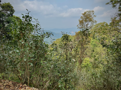 China 2026 March 103