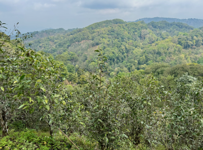 China 2026 March 106