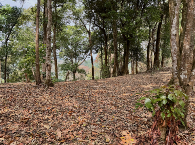 China 2026 March 114