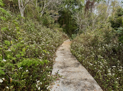 China 2026 March 117