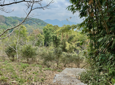 China 2026 March 118