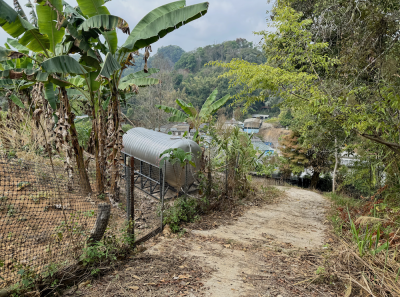 China 2026 March 120