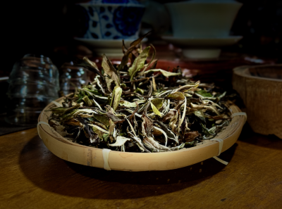 China 2026 March 133